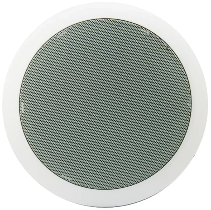 Asenware AW-SP02 Big Ceiling Speaker - CV. Berkah Mitra Safety