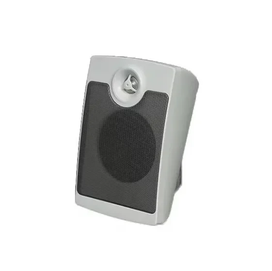 Asenware AW-SP06 Wall-mounted Speaker